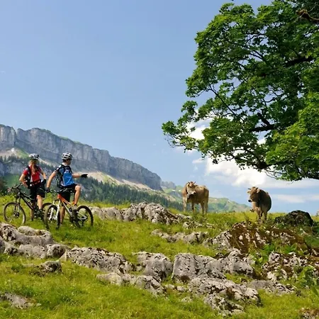 Appartement Bauer Oberstdorf